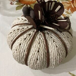 Tabletop rattan pumpkin